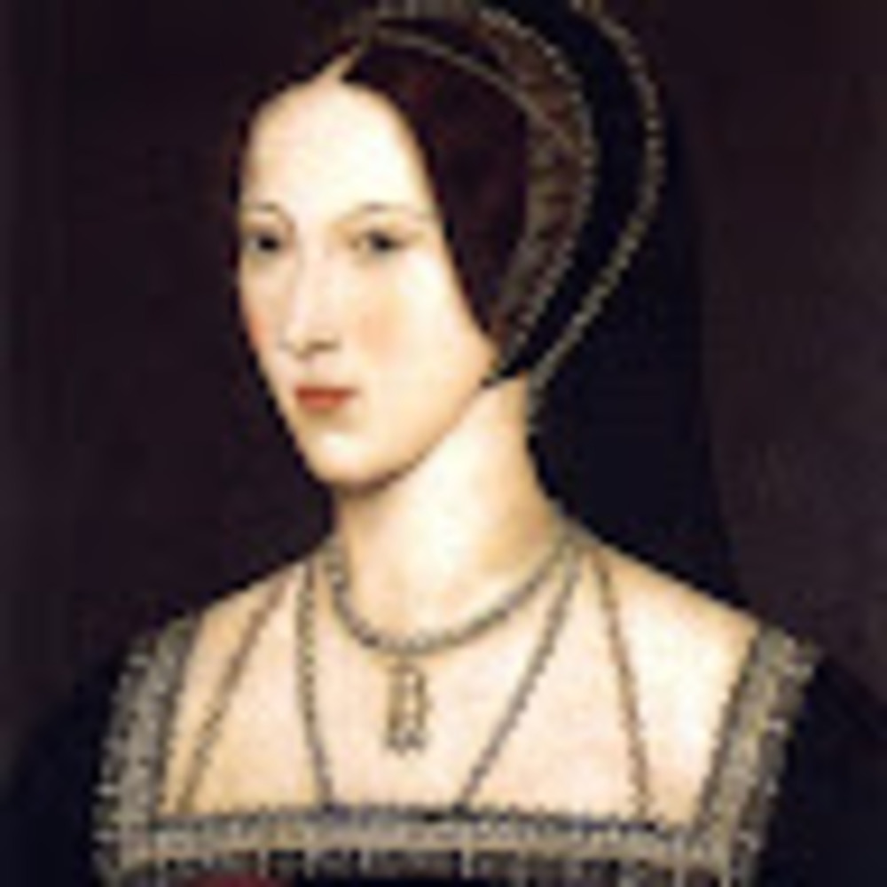 Meet your Posher, Bronte